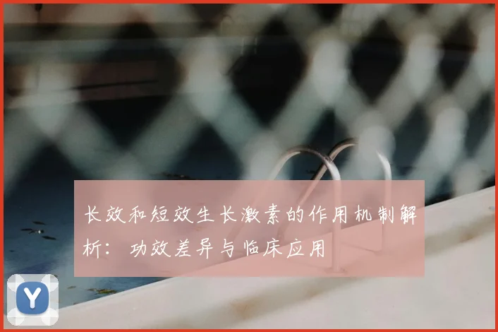 长效和短效生长激素的作用机制解析：功效差异与临床应用