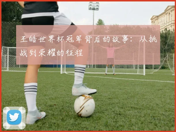 王皓世界杯冠军背后的故事:从挑战到荣耀的征程