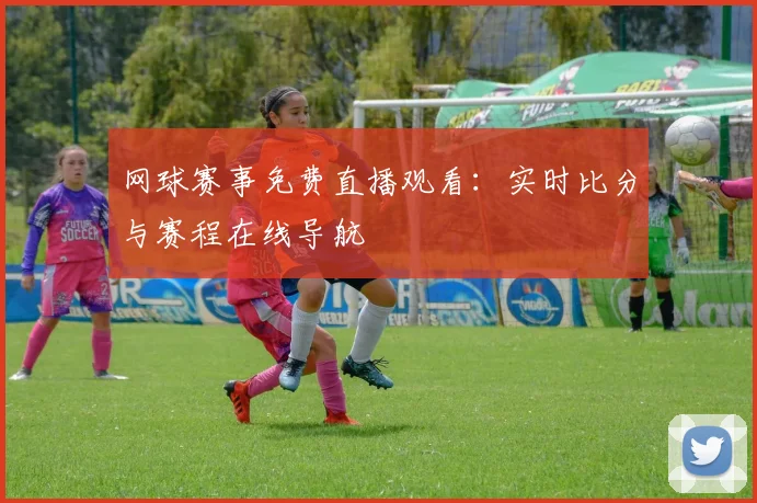 网球赛事免费直播观看：实时比分与赛程在线导航